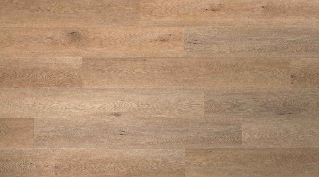 Tarn Chestnut - Lamett - TAR-849-IB
